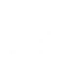 Tri-Bright Holiday Lighting